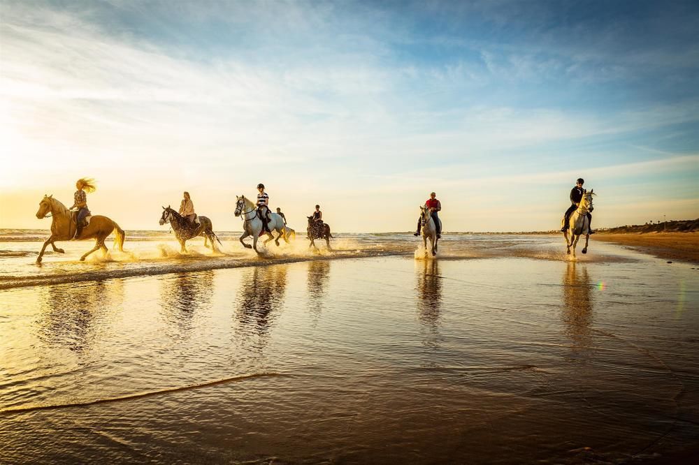 Royal Hideaway Sancti Petri Hotel Chiclana de la Frontera Eksteriør billede
